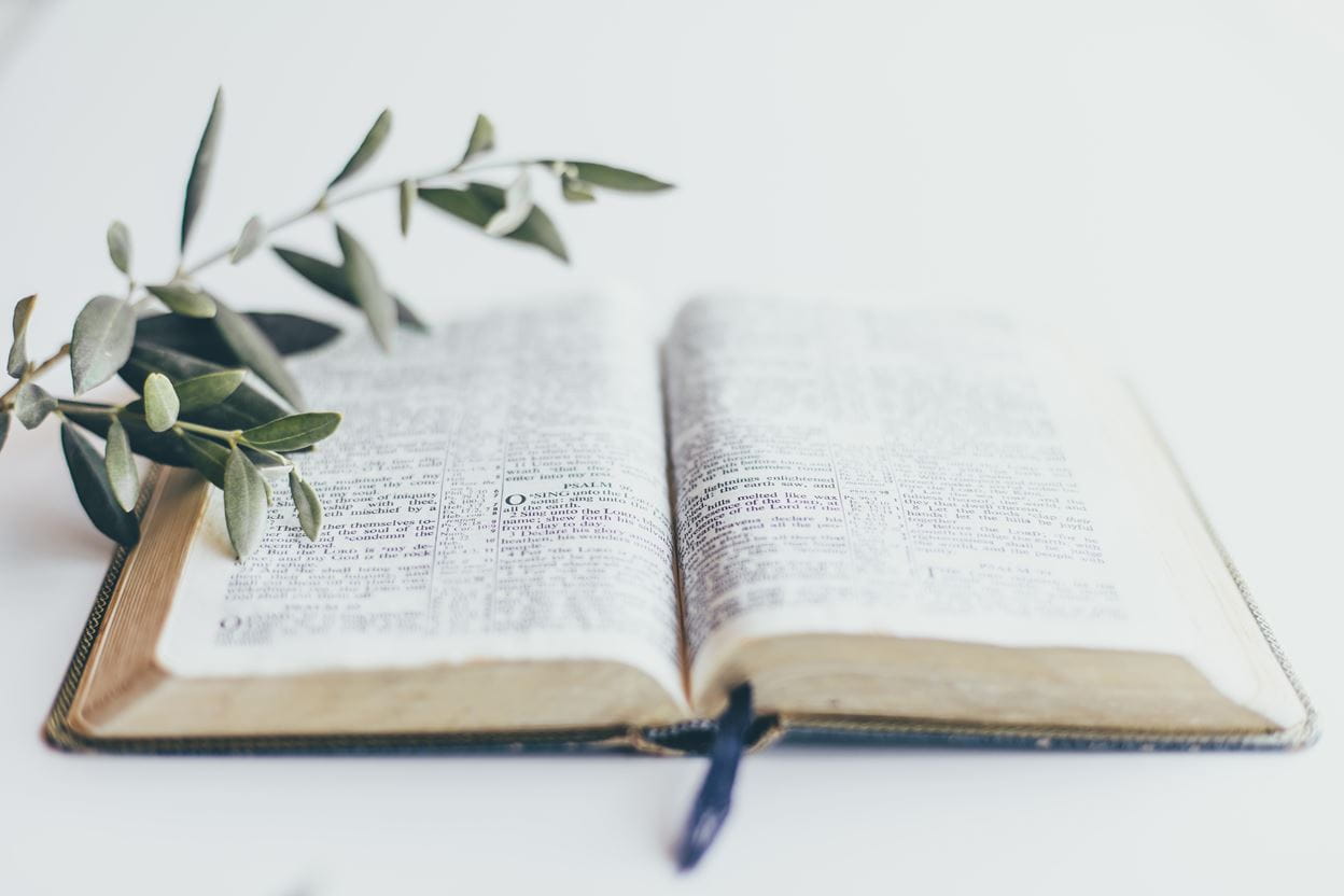 A small branch sitting on an open Bible ready for reading a daily devotional.