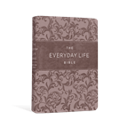 The Everyday Life Bible (AMP) - Gray