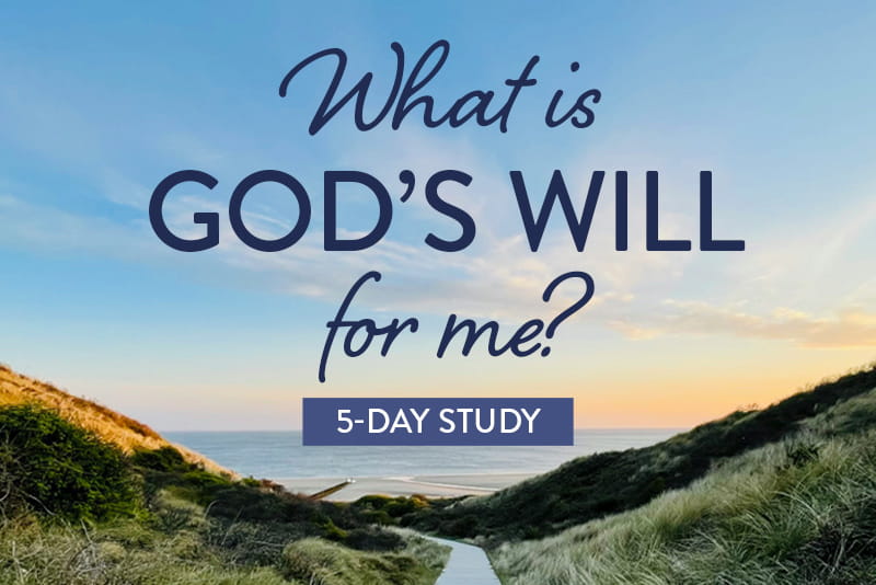 New Study