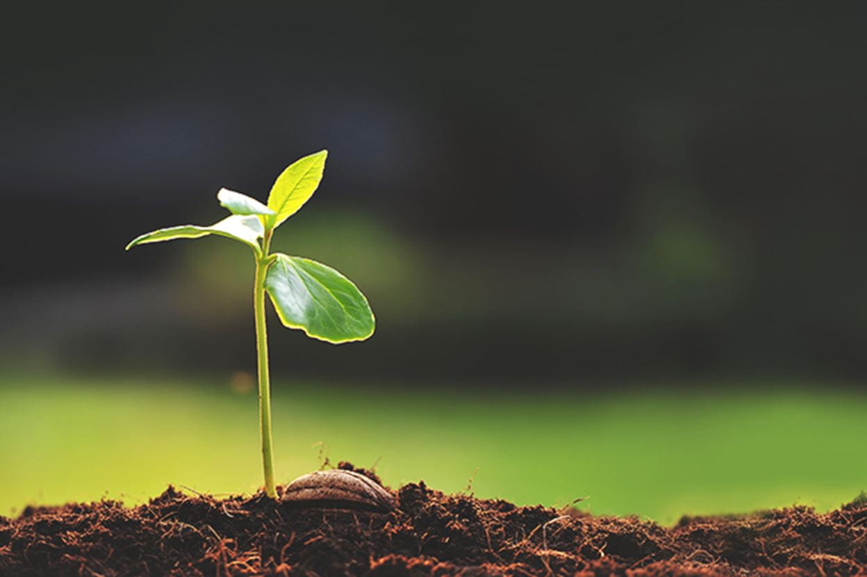 3 Principles For Greater Progress