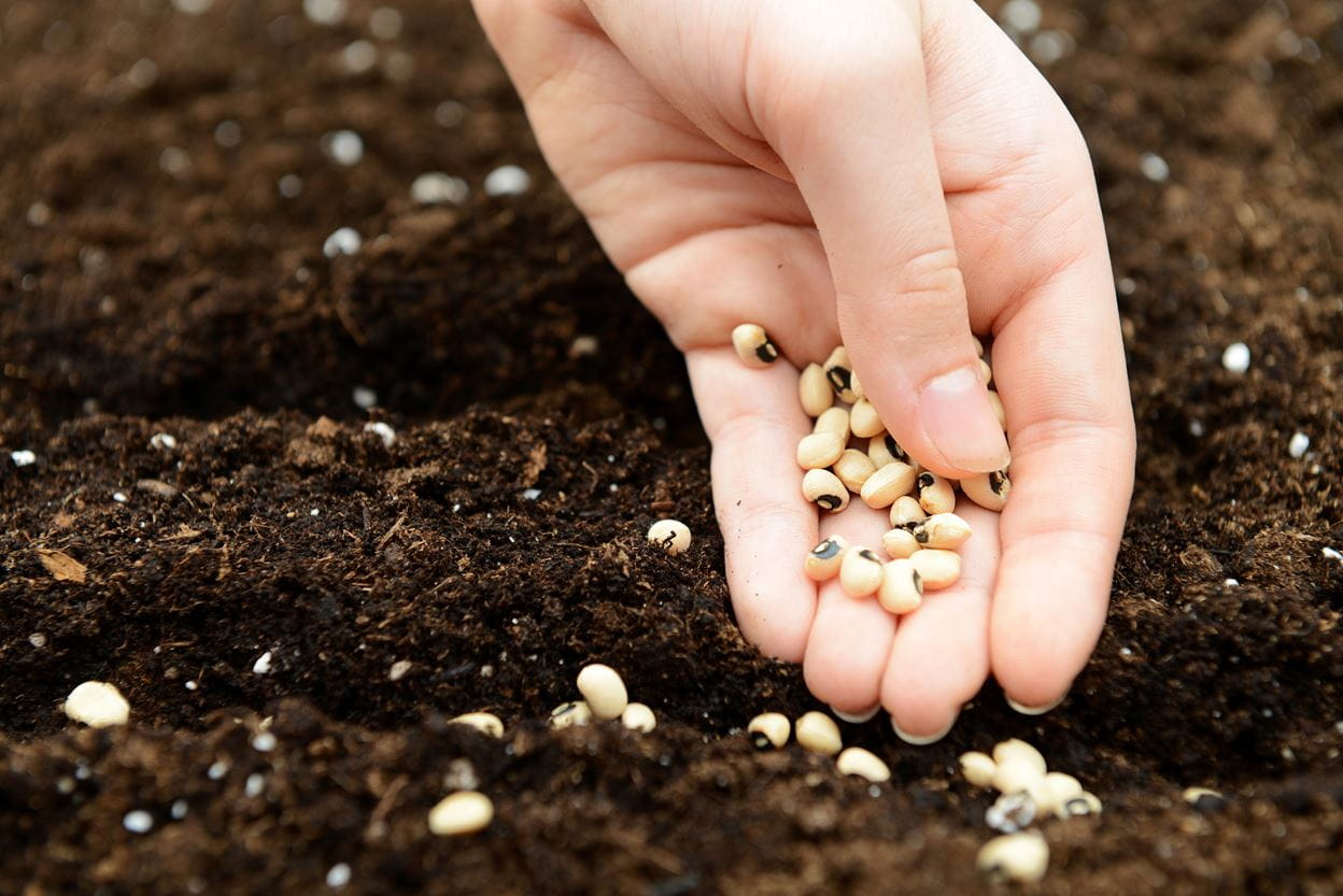 Prayer for Spiritual Growth