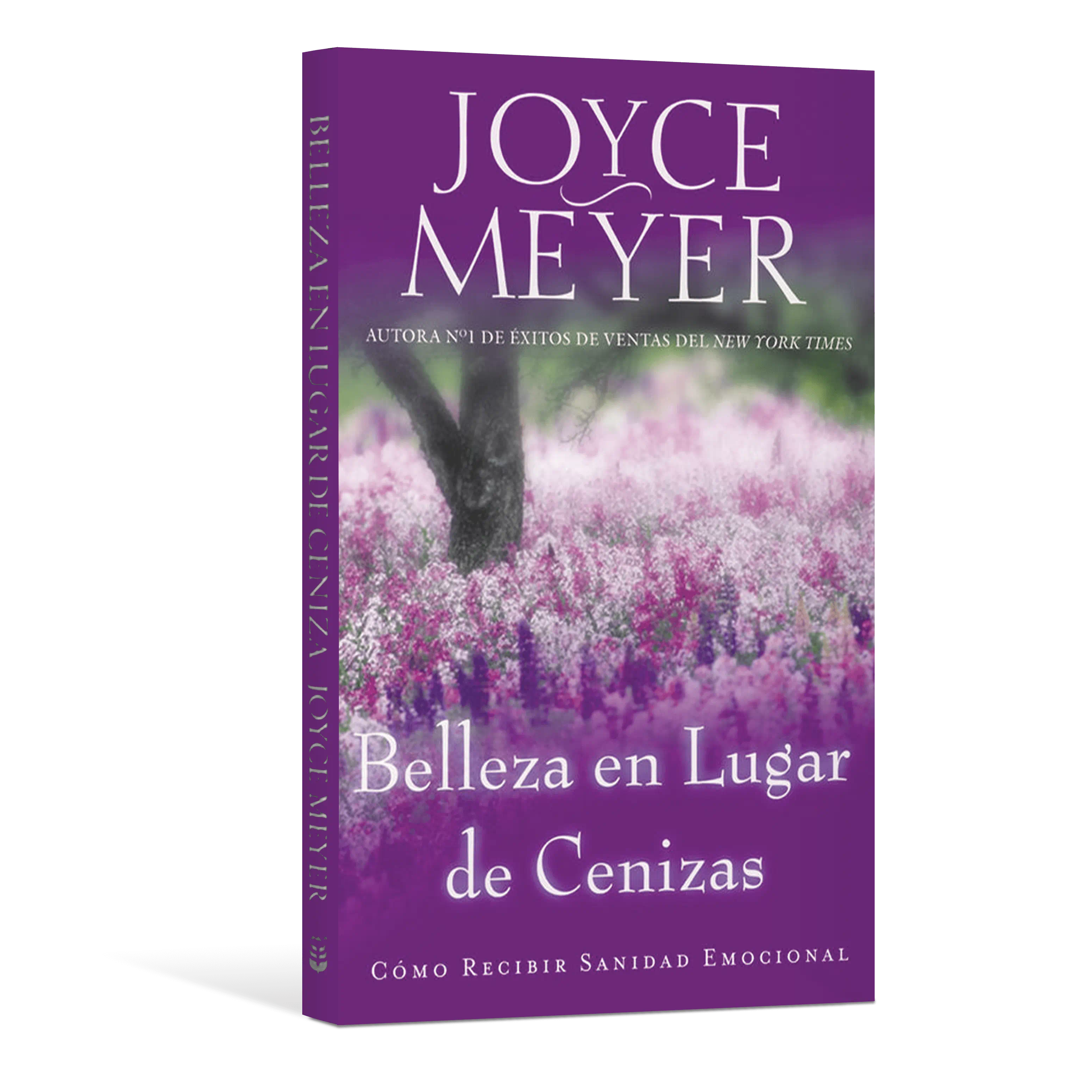 Belleza en Lugar de Ceniza