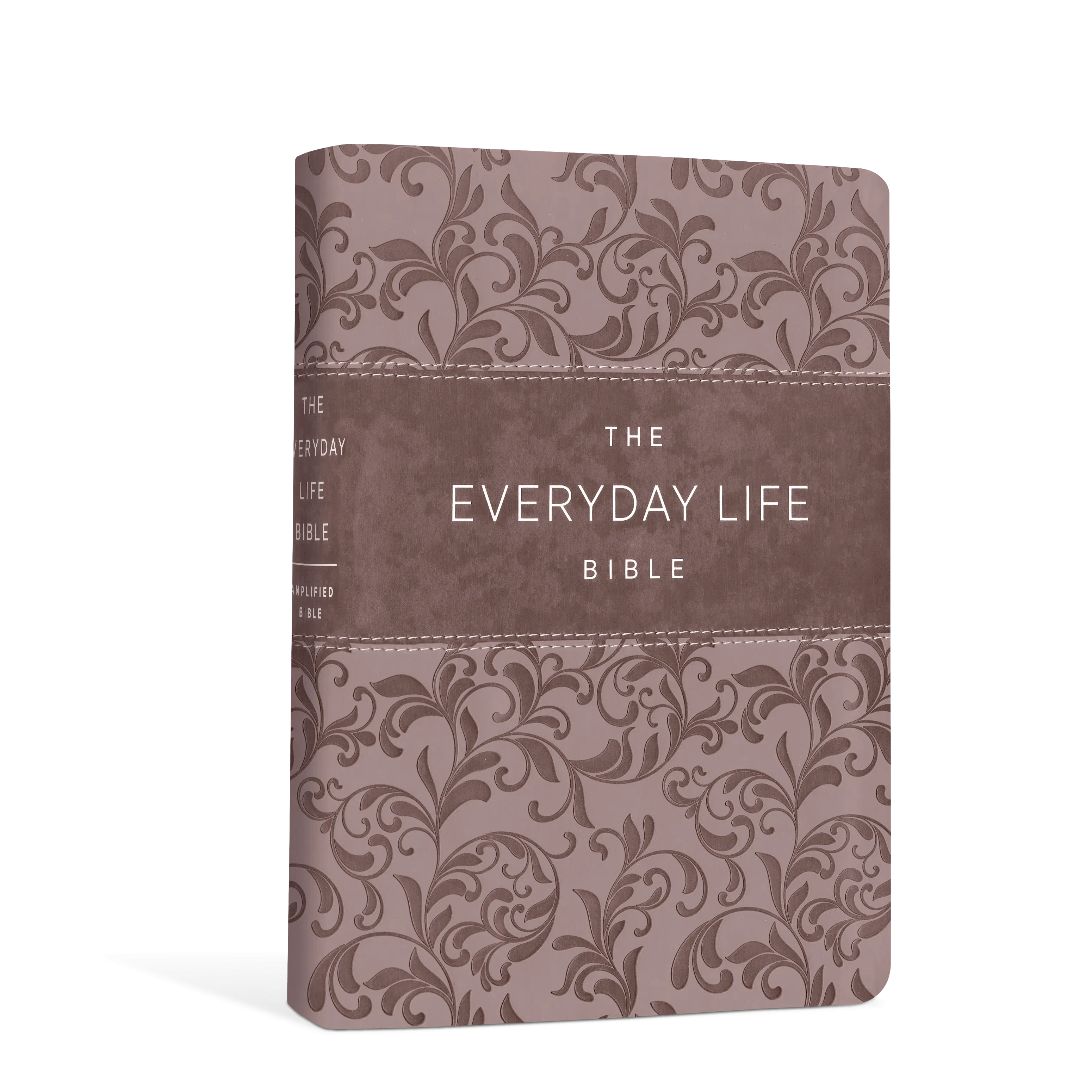 その他 Bible in Everyday Life/ Bible &amp; Traditions [DVD] The Everyday Life Bible: The Power of God's Word for
