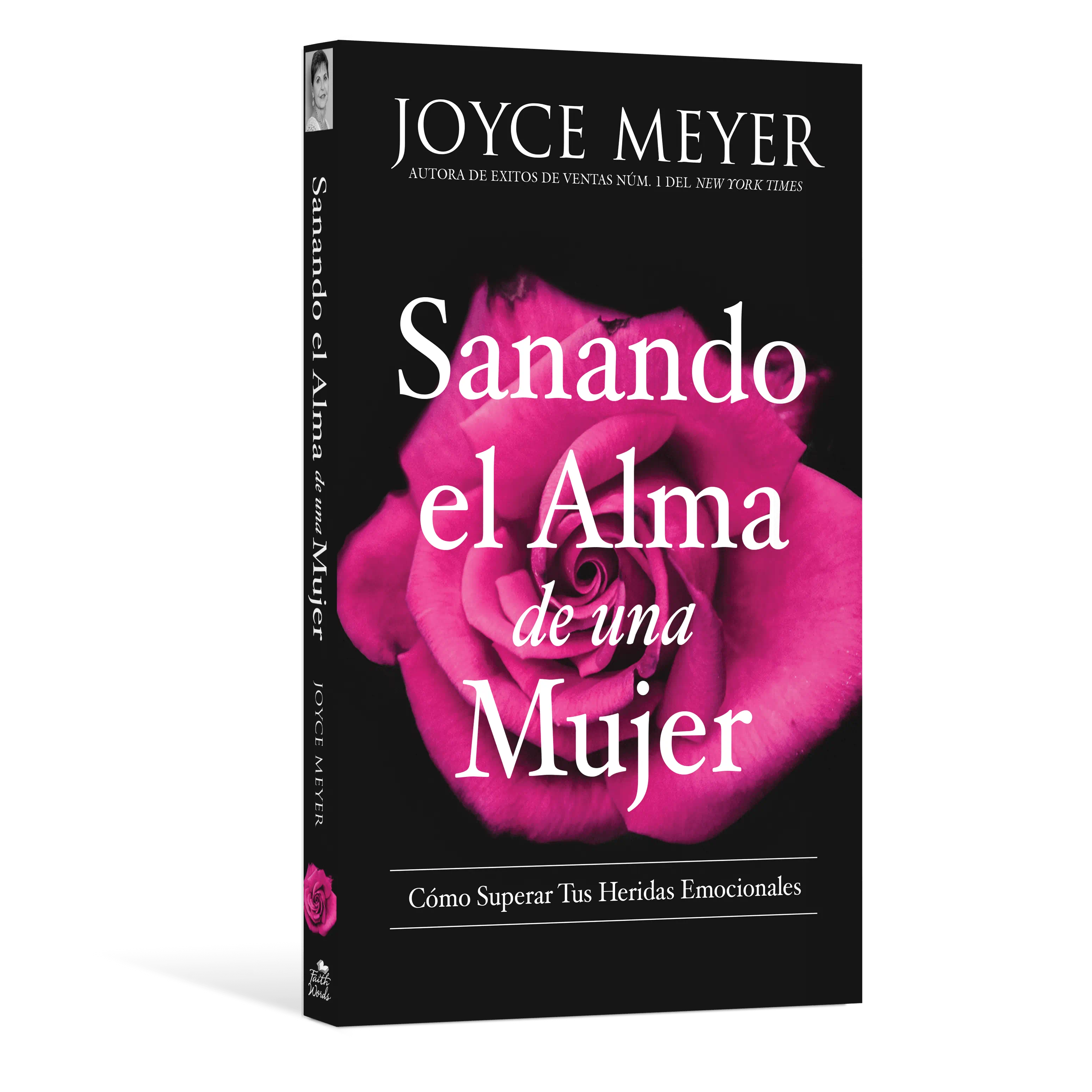 Sanando el Alma de una Mujer  (PB)