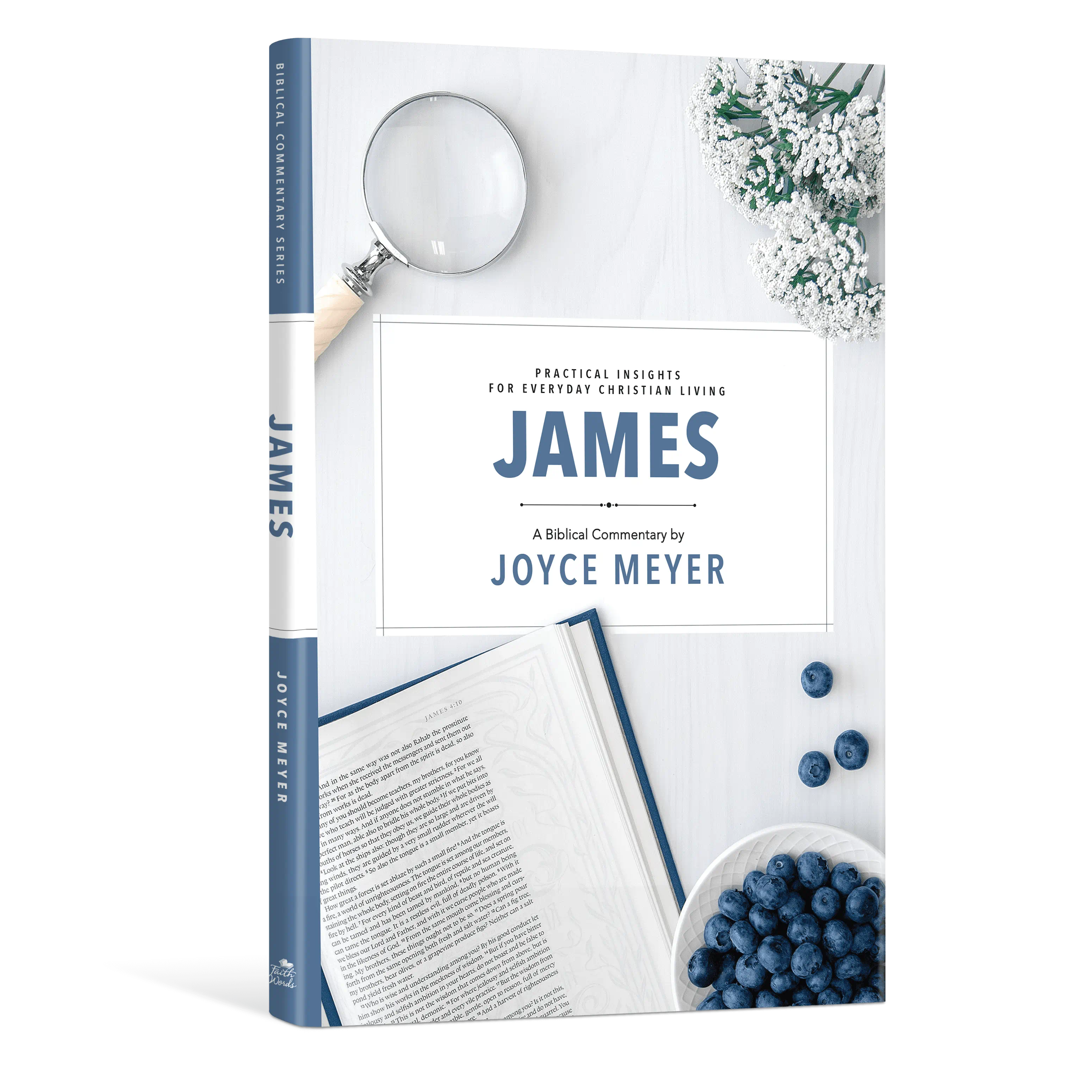James: The Biblical Commentary