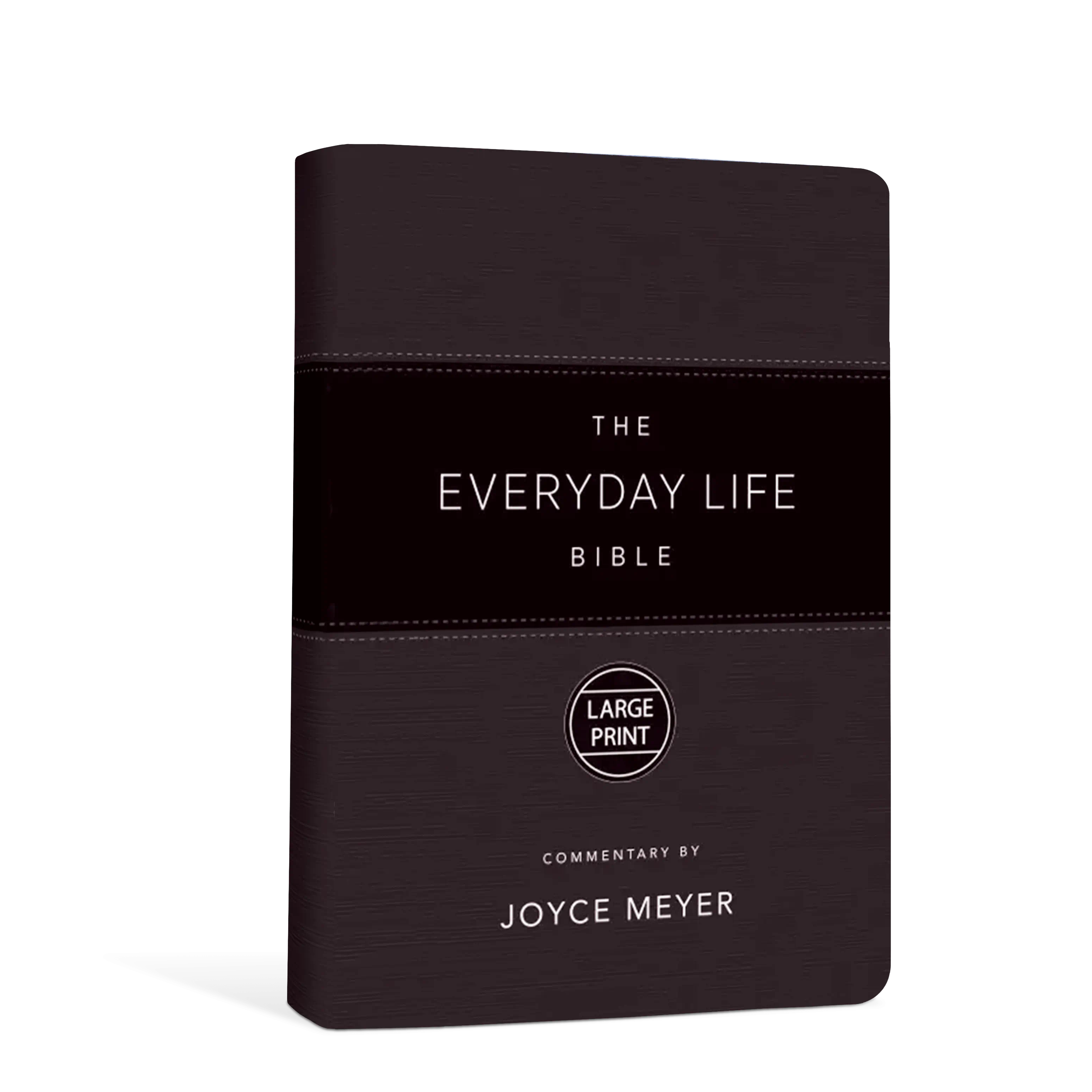 The Everyday Life Bible – Black, Large Print