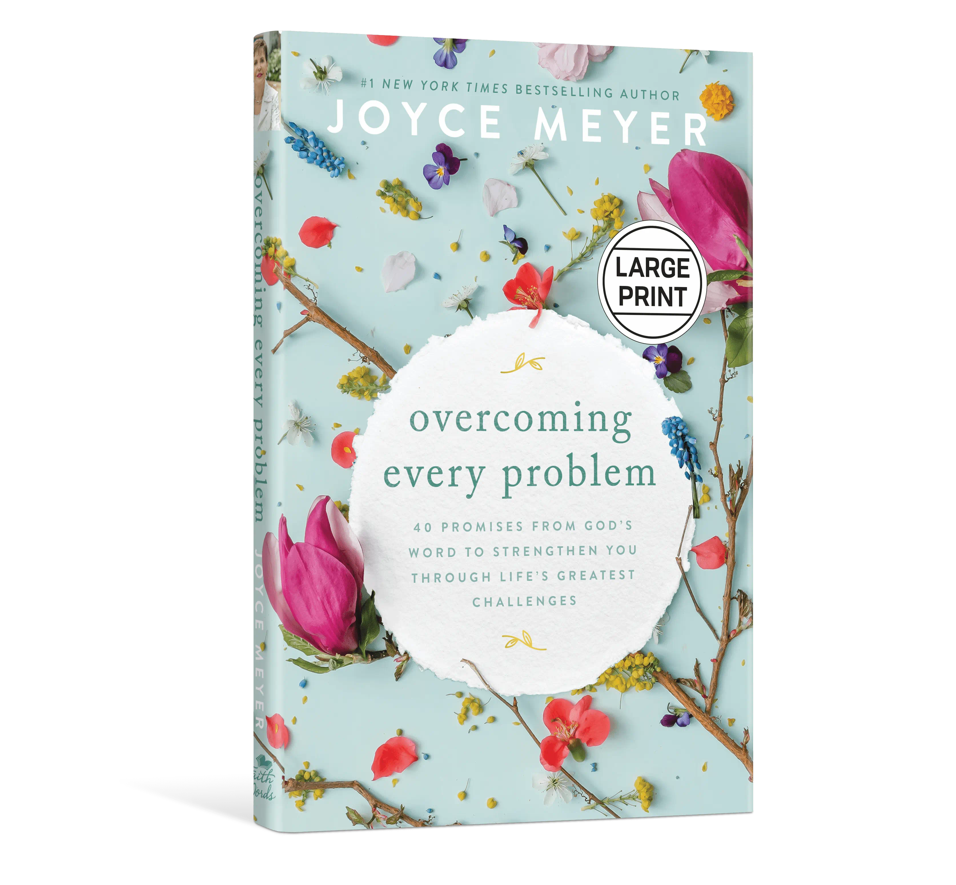 Overcoming Every Problem – Large Print