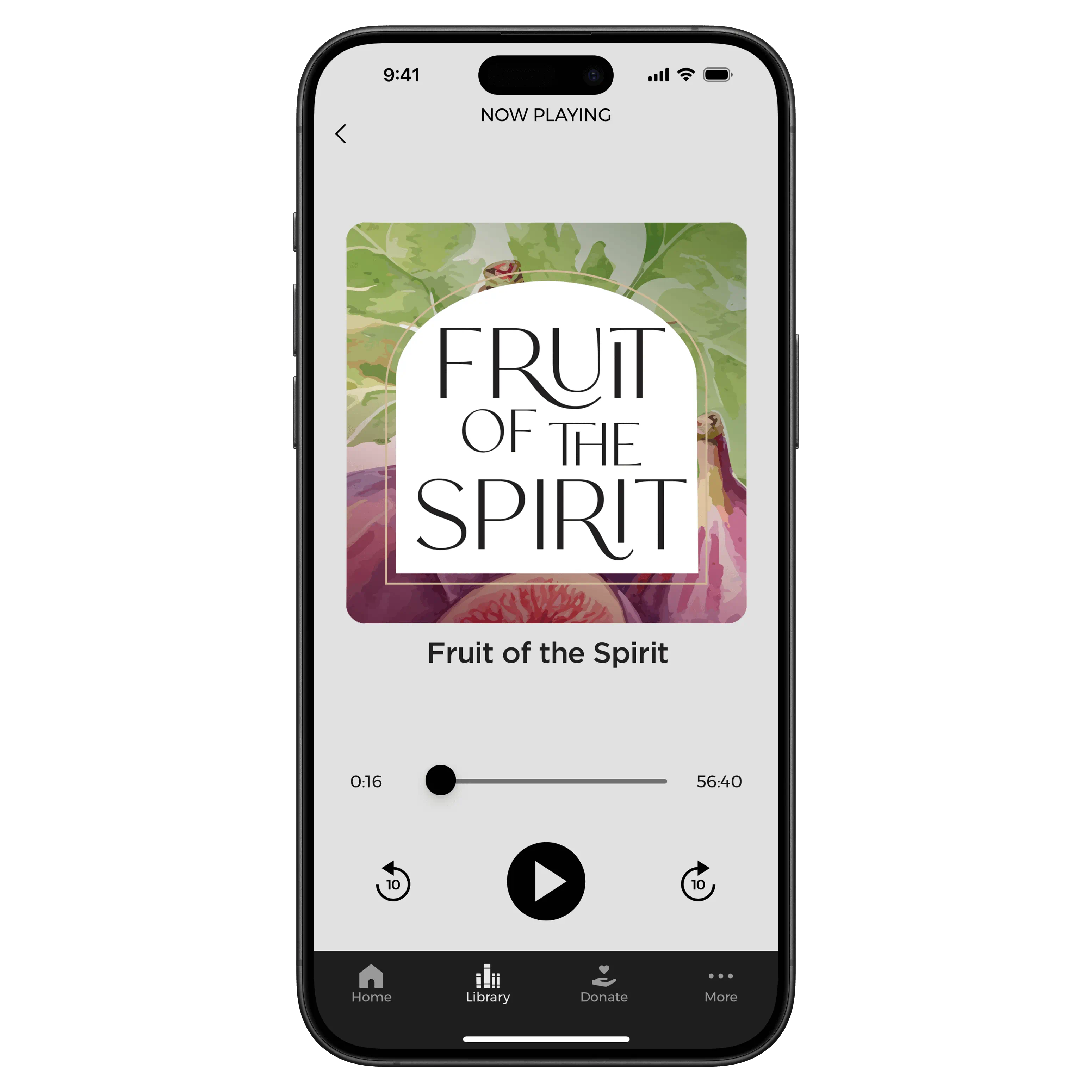 Fruit of the Spirit – Signature Series – Digital Audio Teaching