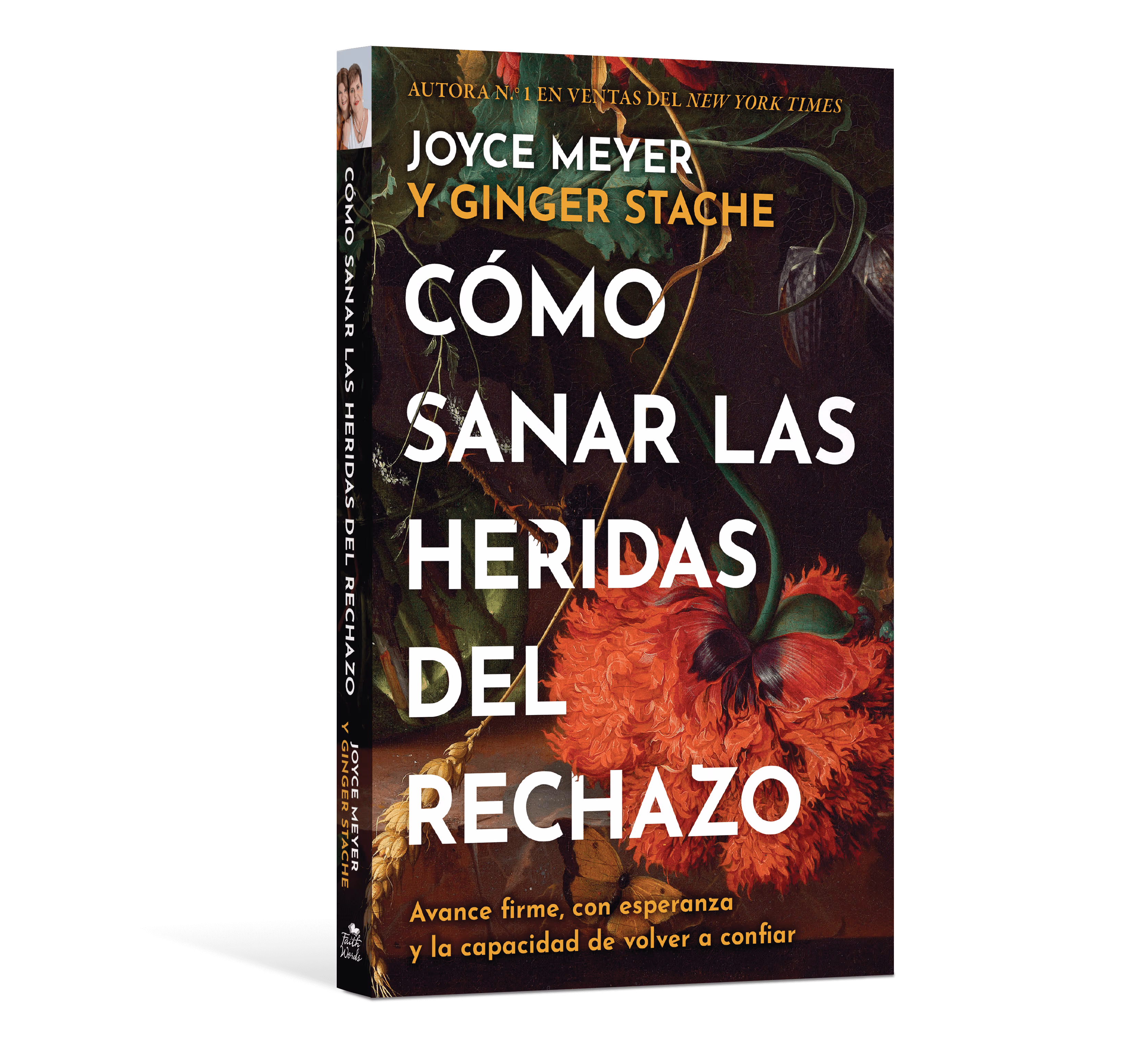 Cómo Sanar las Heridas del Rechazo