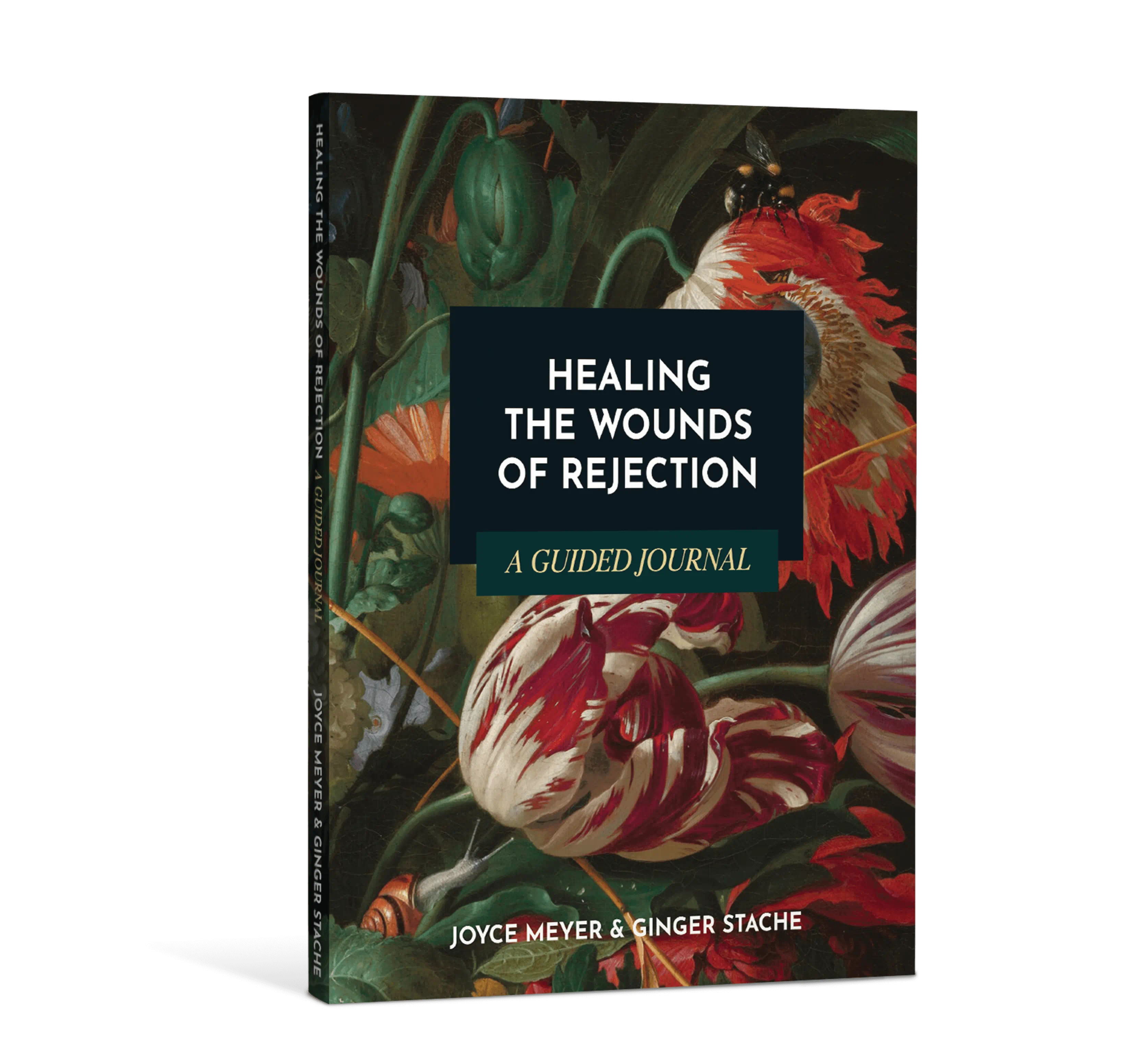 Healing the Wound of Rejection: A Guided Journal