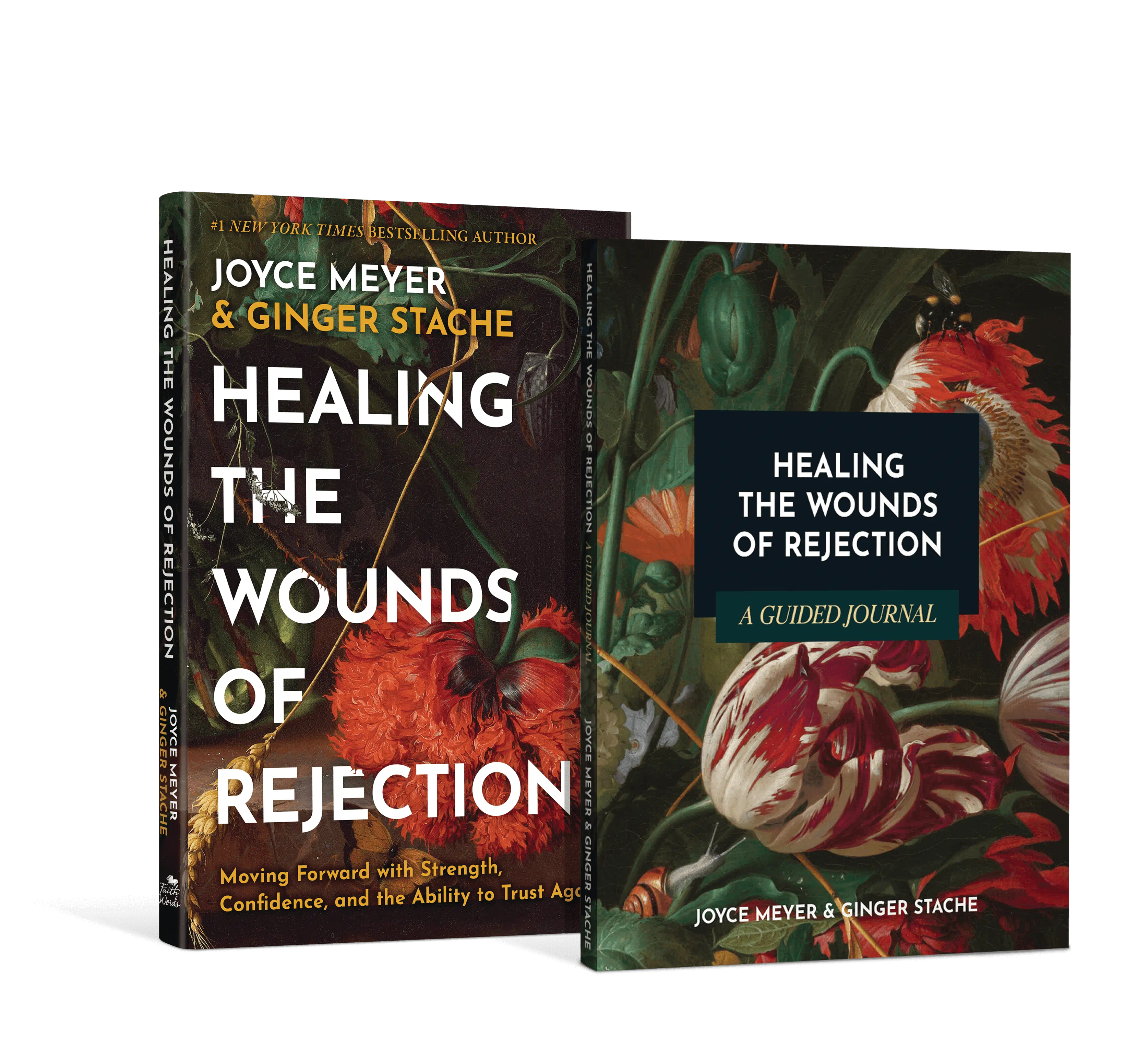 Healing the Wounds of Rejection Package