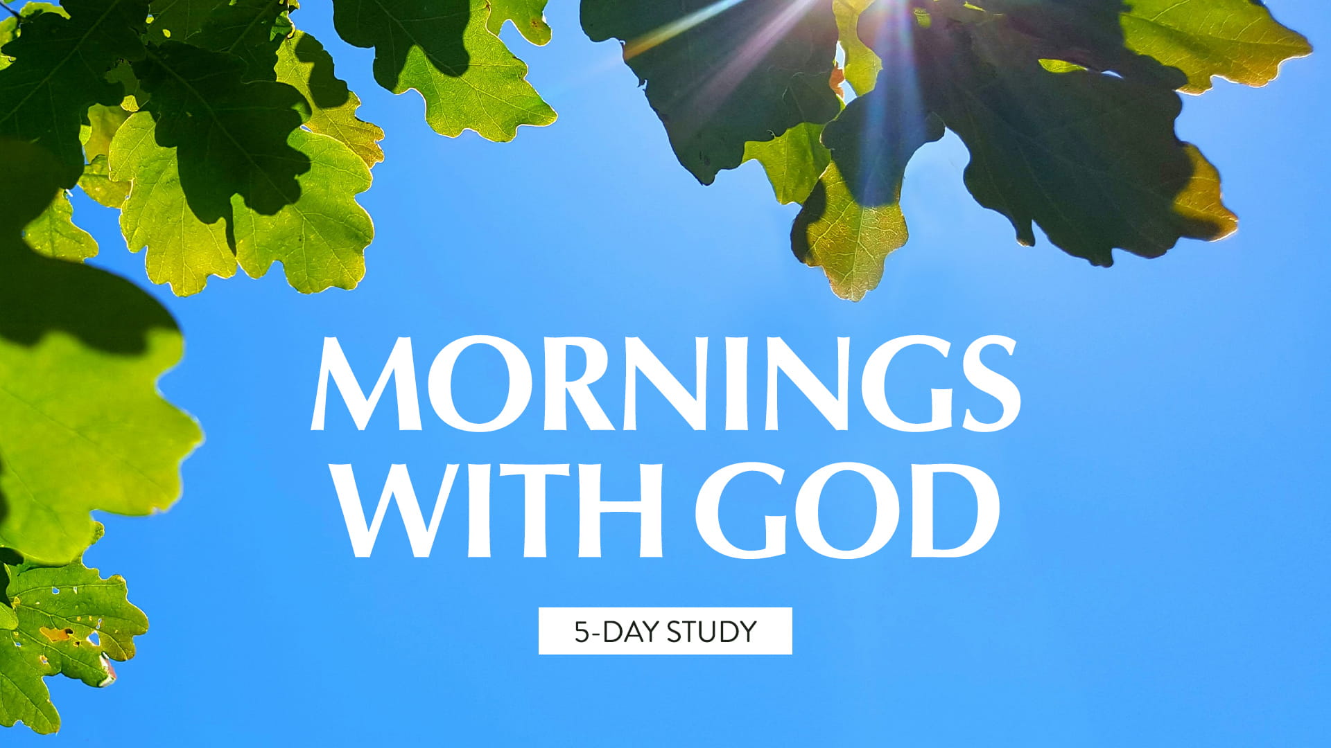 Mornings with God 5-day study